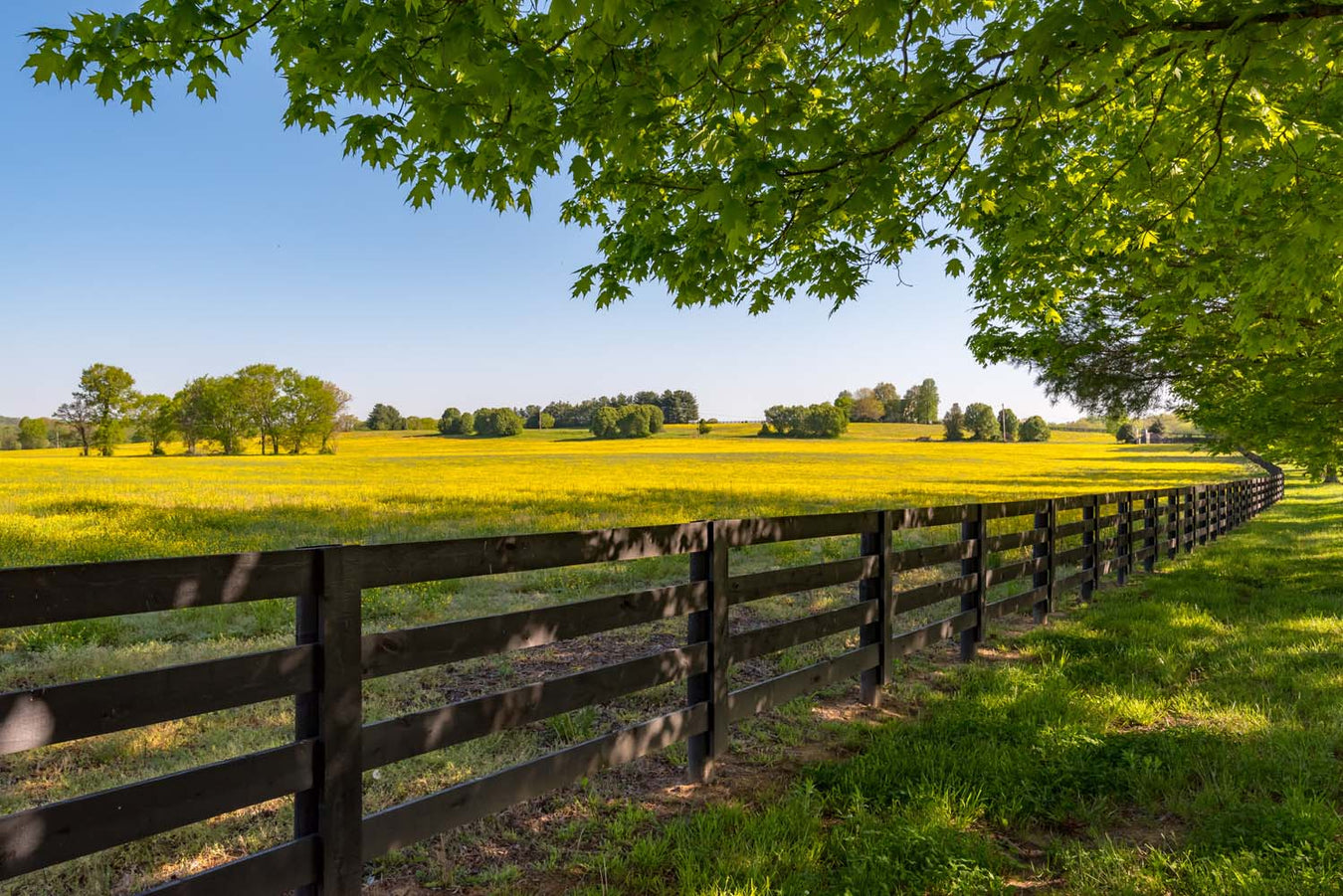 Agricultural Fencing Kent