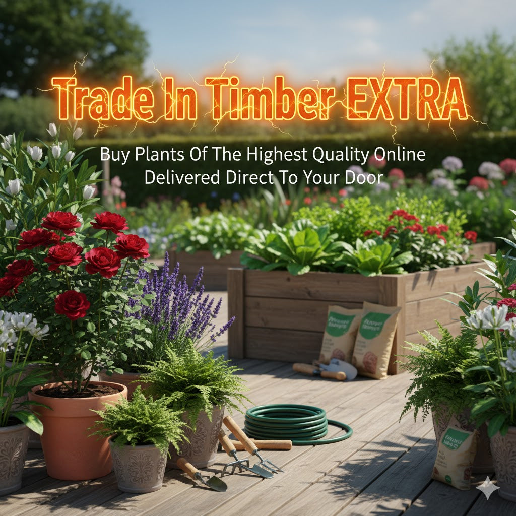 The Online Garden Centre - Trade In Timber EXTRA | Buy Plants Of The Highest Quality Online with Delivered Direct To Your Door