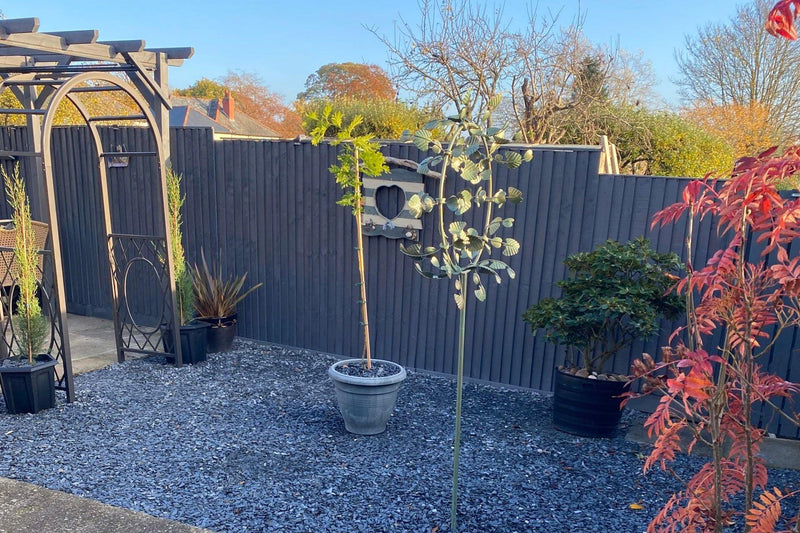 20mm Blue Slate Chippings - Home & Garden > Lawn & Garden > Gardening Chippings