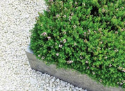 9-12mm Polar White Chippings - Home & Garden > Lawn & Garden > Gardening Chippings