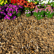 10mm Golden Gravel - Home & Garden > Lawn & Garden > Gardening Gravel