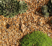 10mm Golden Gravel - Home & Garden > Lawn & Garden > Gardening Gravel