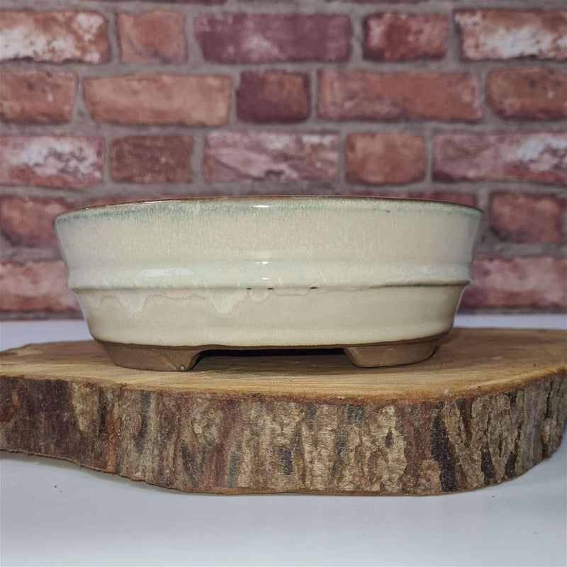 16cm Glazed Bonsai Pot | Oval | 16cm x 12cm x 3cm | White