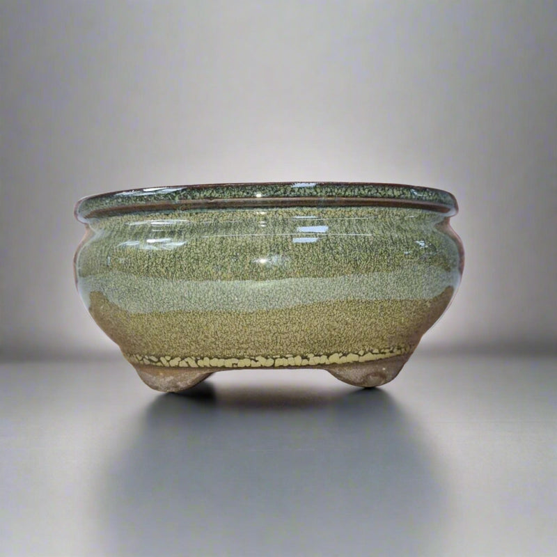 16cm Glazed Bonsai Pot | Oval | 16cm x 13cm x 6cm | Green