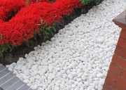 20-40mm White Pebbles - Home & Garden > Lawn & Garden > Gardening Gravel