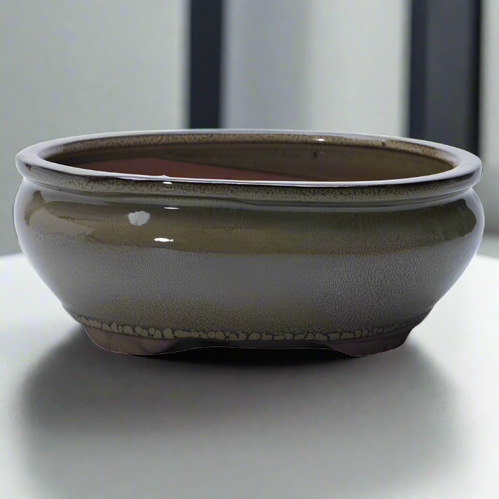 20cm Glazed Bonsai Pot | Oval | 20cm x 16cm x 6cm | Green