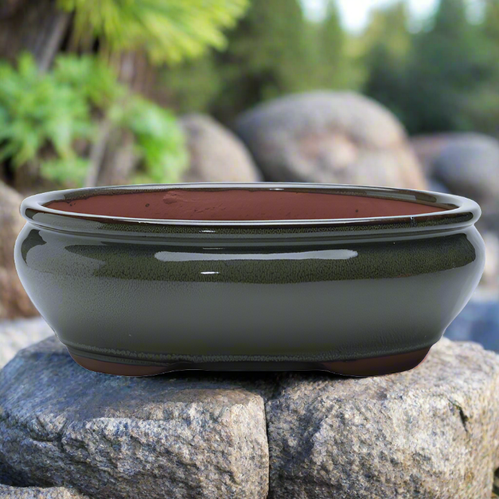 26cm Glazed Bonsai Pot | Oval | 26cm x 20cm x 6cm | Green