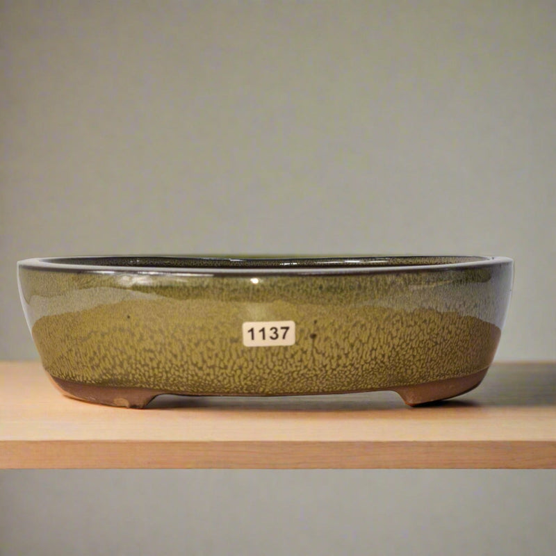 26cm Glazed Bonsai Pot | Oval | 26cm x 22cm x 6cm | Green