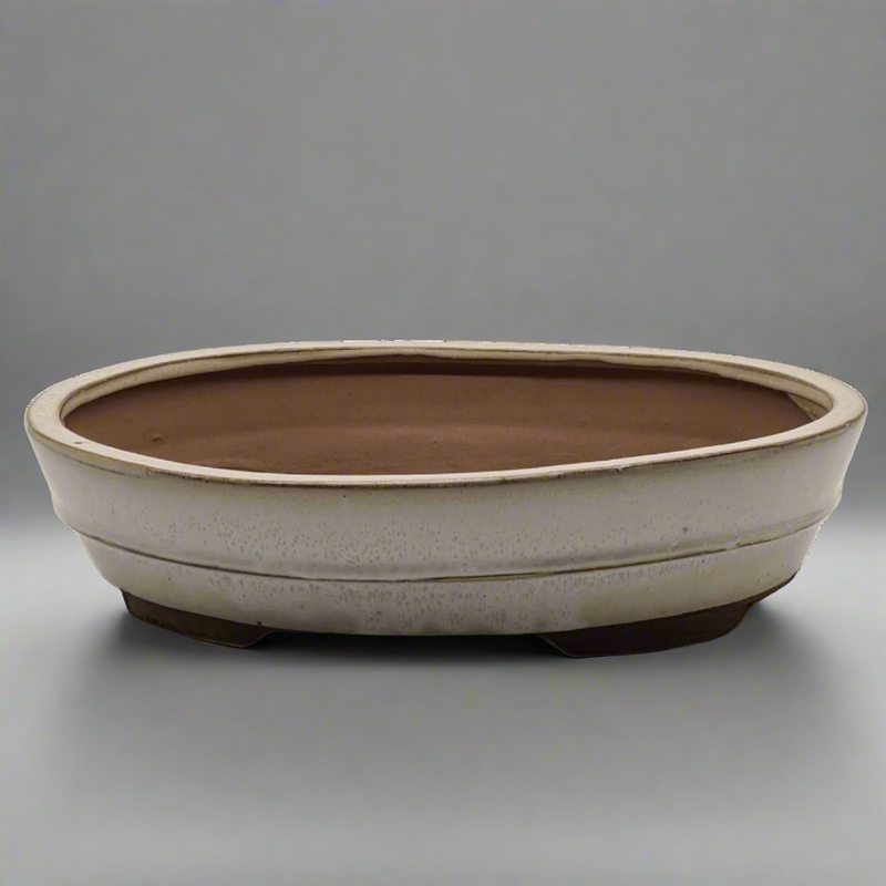 31cm Glazed Bonsai Pot | Oval | 31cm x 24cm x 7cm | White