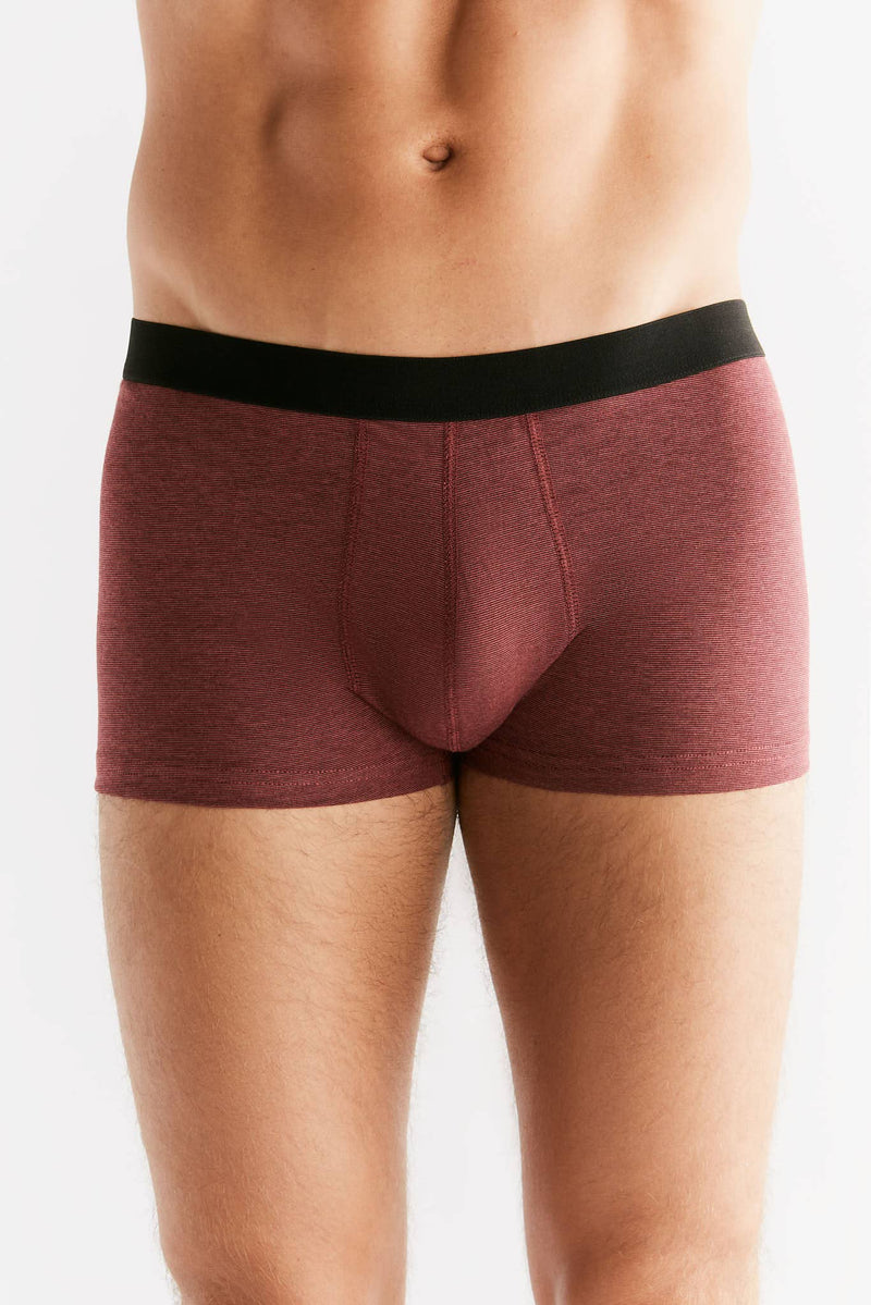 Organic Cotton Trunks: Mens