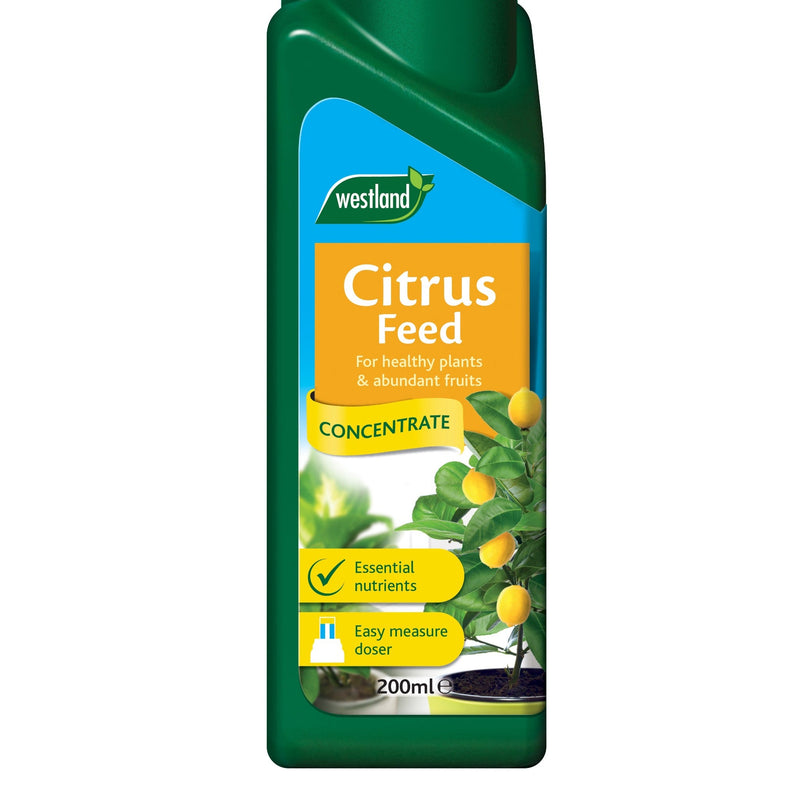 Citrus Feed Concentrate 200ml -