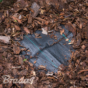 70g Woven Weed Membrane 0.8m x 10m - Home & Garden > Lawn & Garden Garden tools & Accesories