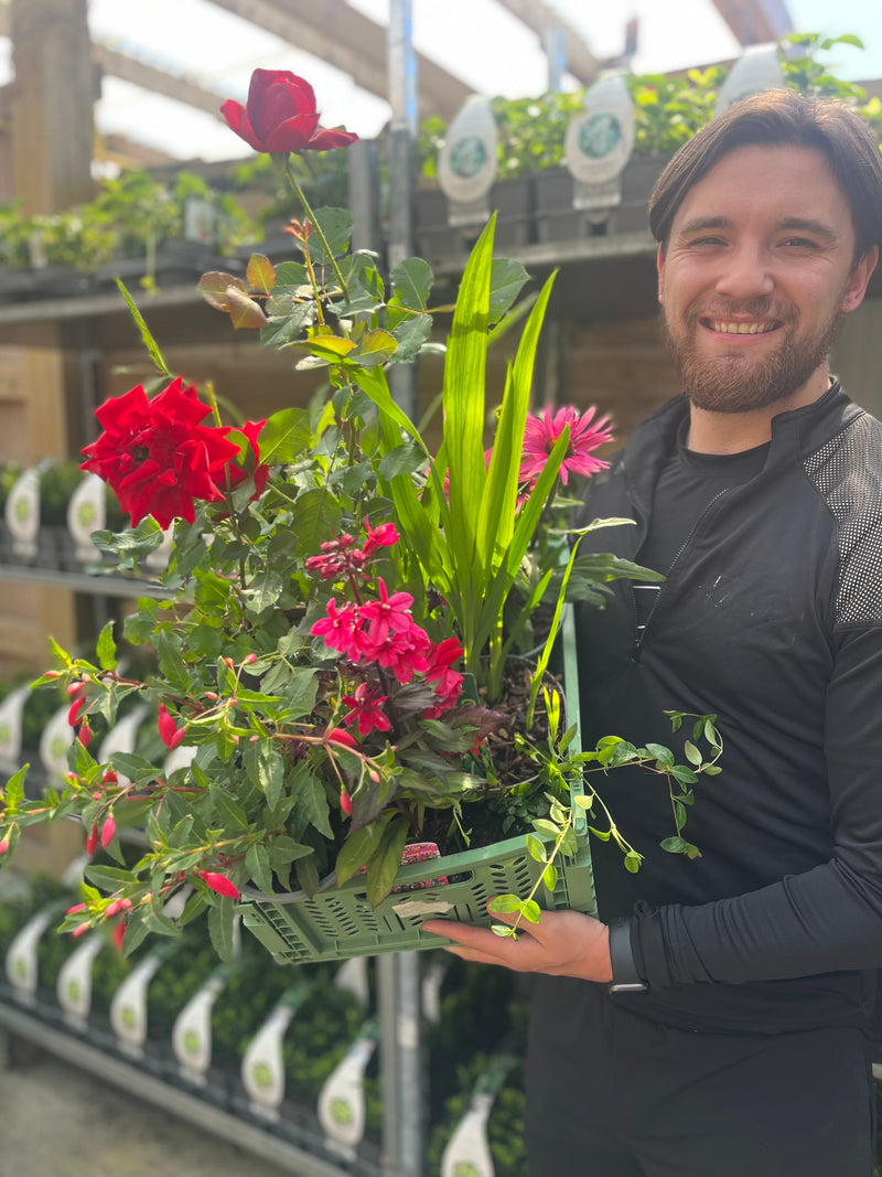 Leaf it to us! Monthly Subscription Box -