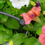 Antelco Asta® Drip 4L/H Pressure Compensating Spike Drippers - Home & Garden > Lawn & Garden > Watering & Irrigation Garden watering