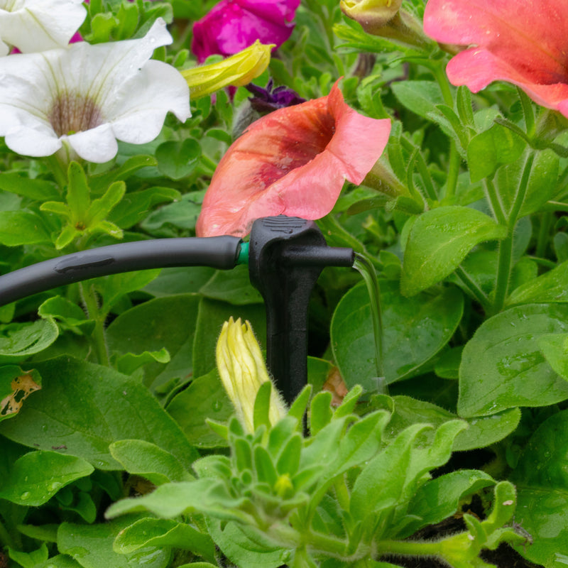 Antelco Asta® Drip 8L/H Pressure Compensating Spike Drippers - Home & Garden > Lawn & Garden > Watering & Irrigation Garden watering