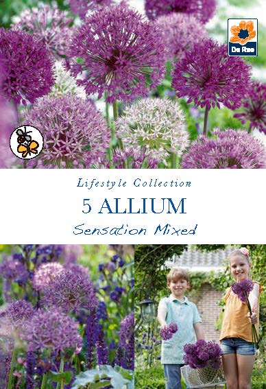 Allium 'Sensation Mixed' (5 Bulbs) -