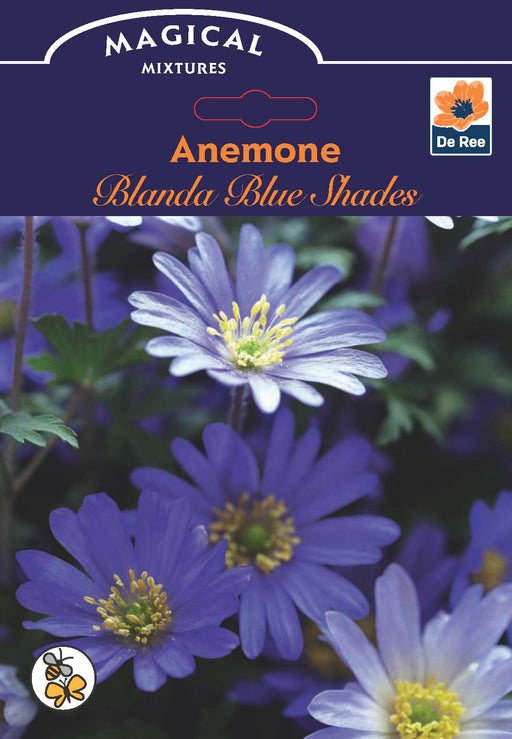 Anemone 'Blanda Blue Shades' (12 Bulbs) -