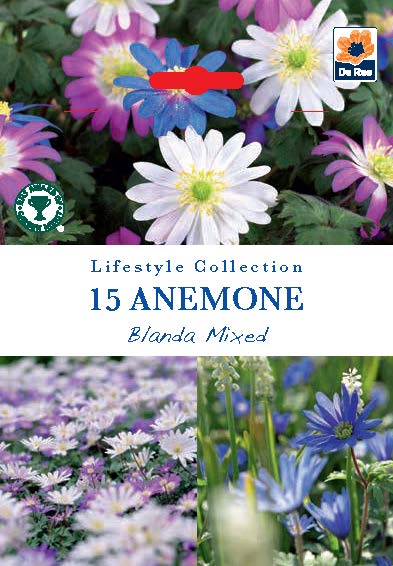 Anemone Blanda Mixed (15 Bulbs) -