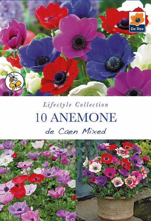 Anemone De Caen Mix - 10 Bulbs -