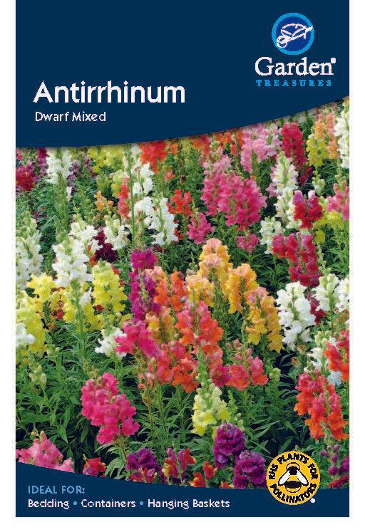 Antirrhinum Dwarf Mixed Seeds -