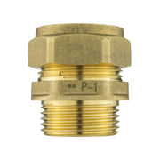 IBC 2” S60X6 Cap with BSP Female Lever Valve and Brass Compression Straight ¾” BSP – 22mm - Home & Garden > Lawn & Garden