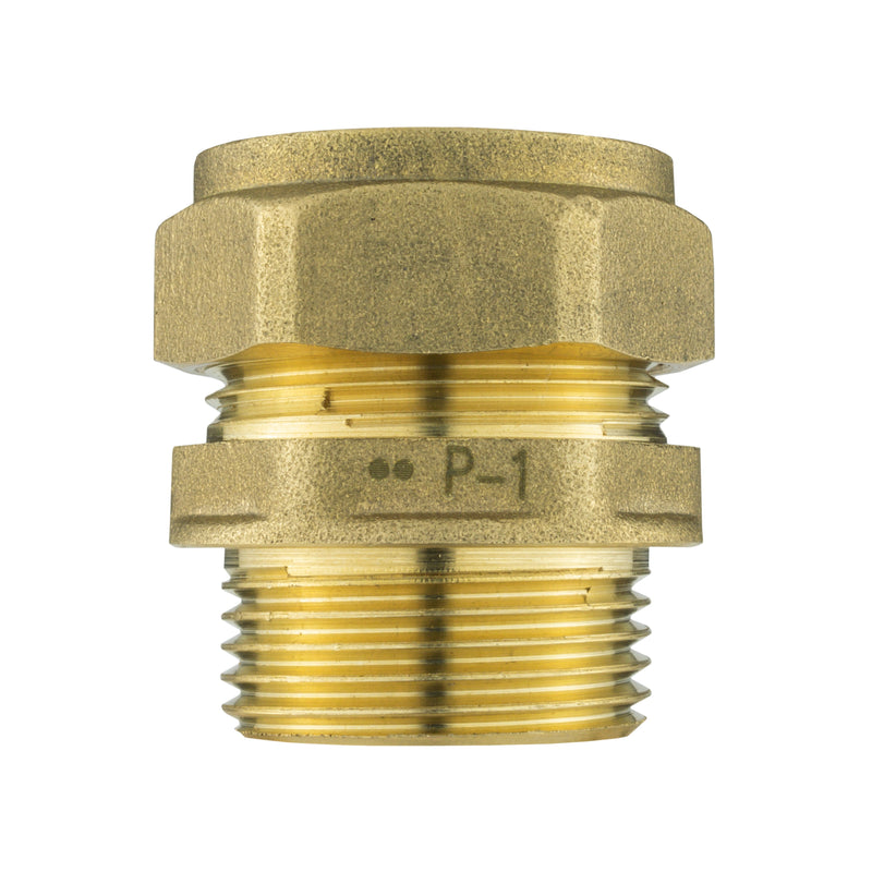 IBC 2” S60X6 Cap with BSP Female Lever Valve and Brass Compression Straight ¾” BSP – 22mm - Home & Garden > Lawn & Garden