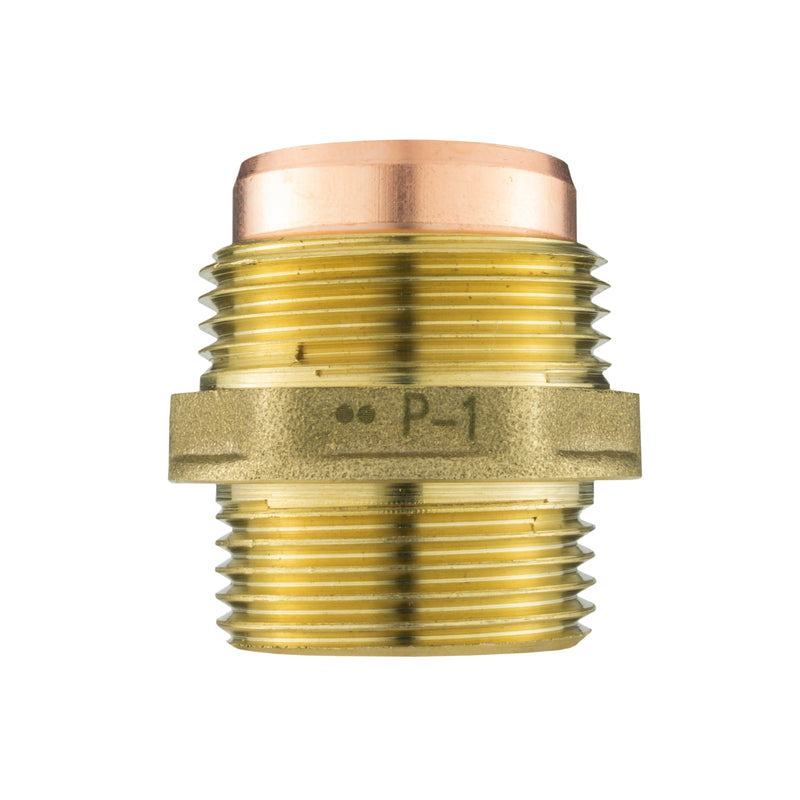 Brass Compression Straight 22mm - 3/4" BSPM - Hardware > Plumbing > Plumbing Fittings & Supports > Pipe Connectors Tech Hose & Fittings
