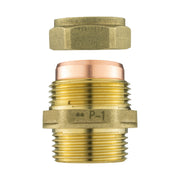IBC 2” S60X6 Cap with BSP Female Lever Valve and Brass Compression Straight ¾” BSP – 22mm - Home & Garden > Lawn & Garden
