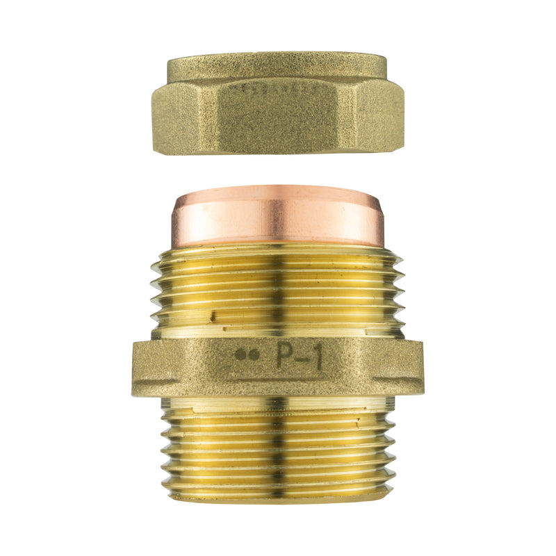 IBC 2” S60X6 Cap with BSP Female Lever Valve and Brass Compression Straight ¾” BSP – 22mm - Home & Garden > Lawn & Garden