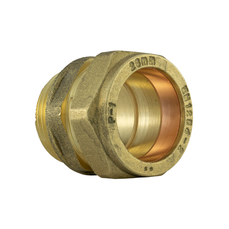 IBC 2” S60X6 Cap with BSP Female Lever Valve and Brass Compression Straight 1” BSP – 28mm - Home & Garden > Lawn & Garden