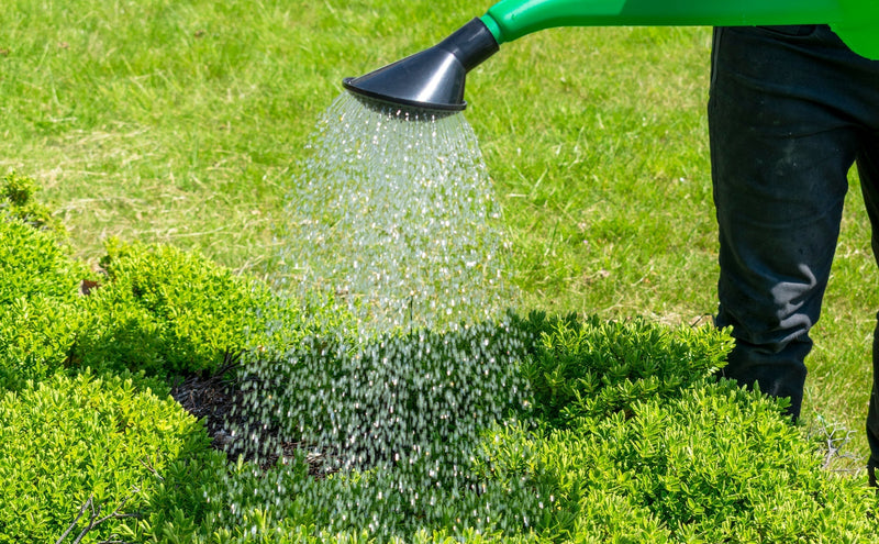 Garden Watering Can 10 Litres - Home & Garden > Lawn & Garden Garden watering