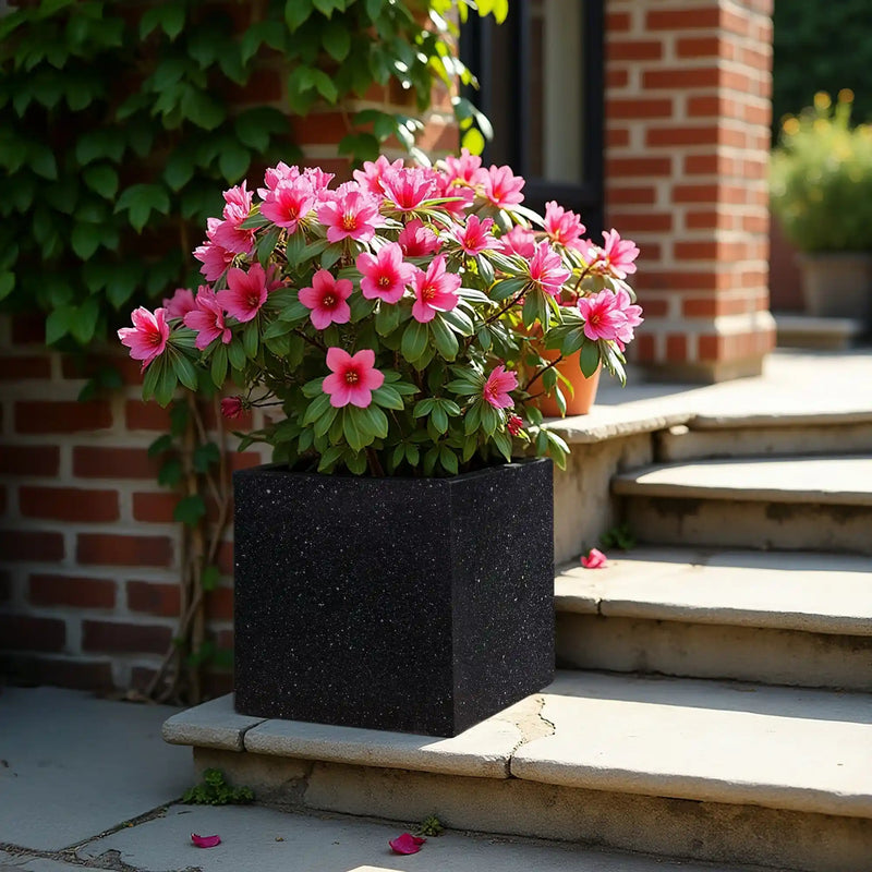 IDEALIST Lite Contemporary Flower Box Square Garden Planter, Light Concrete Outdoor Large Plant Pot H30 L30 W30 cm, 28L - Home & Garden > Lawn & Garden > Gardening > Pots & Planters > Planters