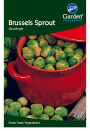 Brussels sprout Groninger -