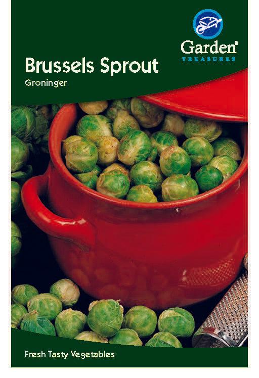 Brussels sprout Groninger -