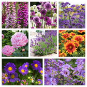 Our Hand Picked Selection of Butterfly and Bee Attracting Plants -