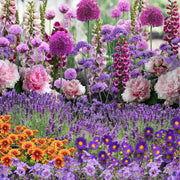 Our Hand Picked Selection of Butterfly and Bee Attracting Plants -