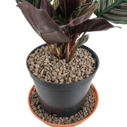 Expanded Clay Aggregate, KERAMZYT, Grade 4-8mm - Home & Garden > Lawn & Garden > Gardening > Sands & Soils