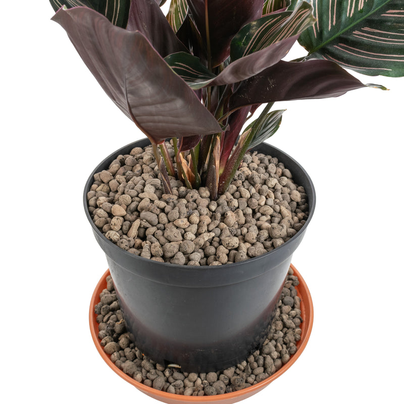 Expanded Clay Aggregate, KERAMZYT, Grade 4-8mm - Home & Garden > Lawn & Garden > Gardening > Sands & Soils