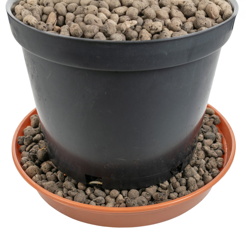 Expanded Clay Aggregate, KERAMZYT, Grade 4-8mm - Home & Garden > Lawn & Garden > Gardening > Sands & Soils
