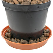 Expanded Clay Aggregate, KERAMZYT, Grade 8-16mm - Home & Garden > Lawn & Garden > Gardening > Sands & Soils