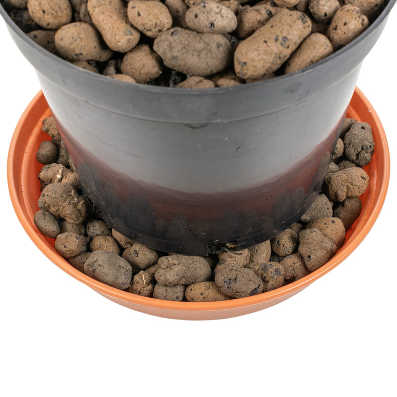 Expanded Clay Aggregate, KERAMZYT, Grade 8-16mm - Home & Garden > Lawn & Garden > Gardening > Sands & Soils