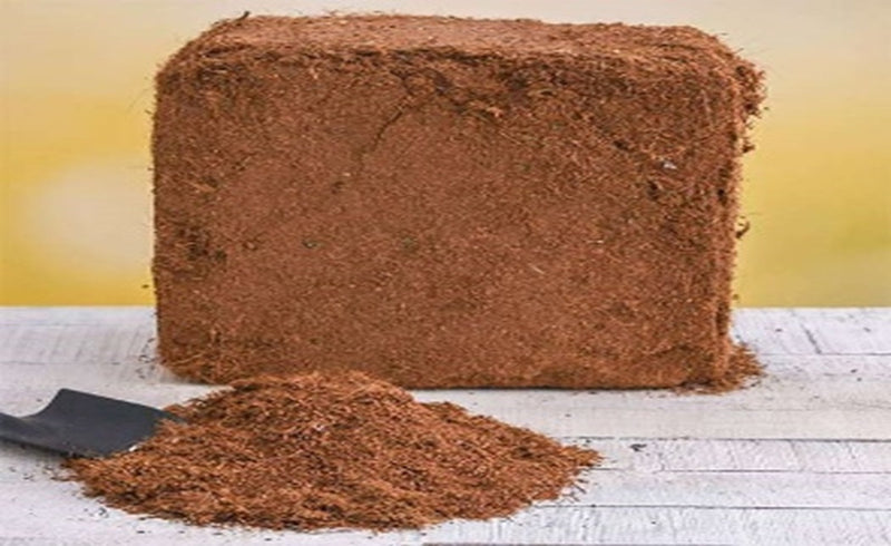 Coco Coir, Natural Compost, Organic Coconut Fibre - Home & Garden > Lawn & Garden > Gardening > Sands & Soils