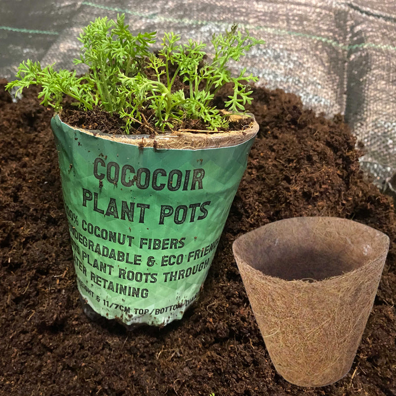 Coco Coir, Natural Growing Pot - Home & Garden > Lawn & Garden > Gardening > Sands & Soils