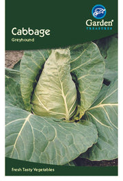Cabbage Greyhound -