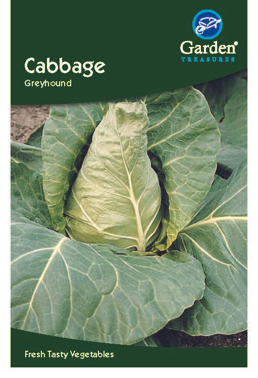 Cabbage Greyhound -
