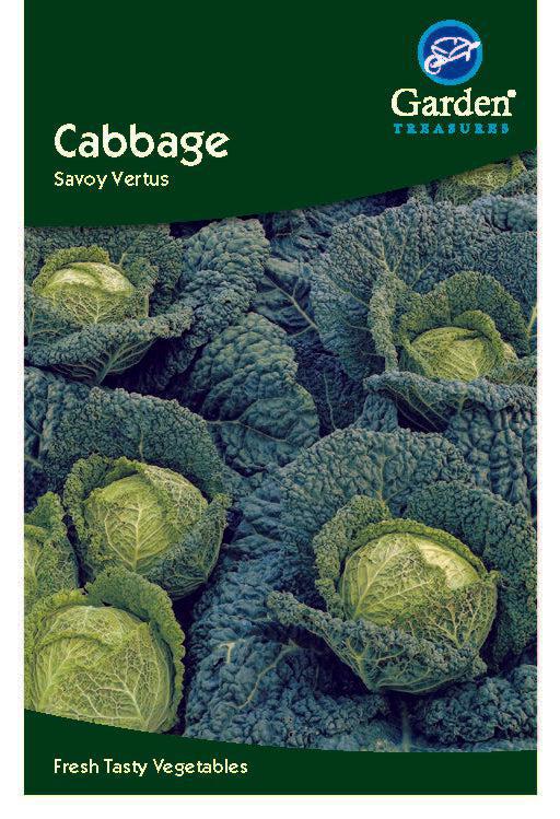 Cabbage Savoy Vertus -