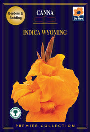 Canna Lily | Indica Wyoming | 1 Corm -