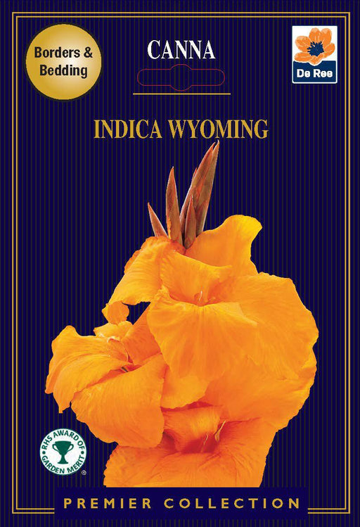 Canna Lily | Indica Wyoming | 1 Corm -