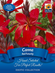 Canna 'Red Futuriy' | Exotic Collection | 1 Corm -