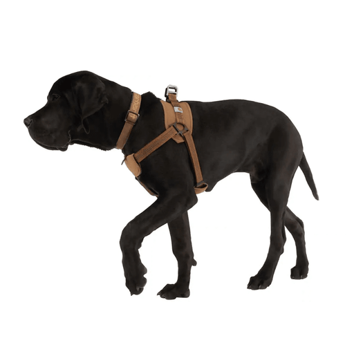 Carhartt P000341 Cargo Series Nylon Ripstop Work Dog Harness - DOG ACCESSORIES